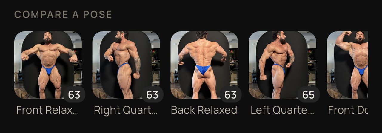 A row of poses (front relaxed, quarter turns, back relaxed), each showing how many photos of that pose exist.